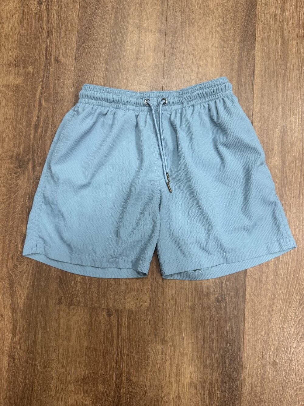 Chubbies Women's Light Blue Shorts — Size Small